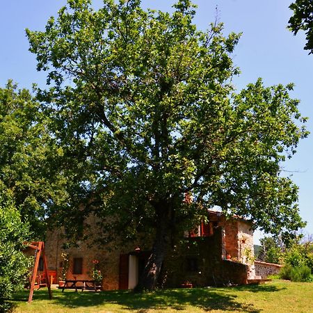 Bed and Breakfast Il Venaio Масса-Мариттима Экстерьер фото