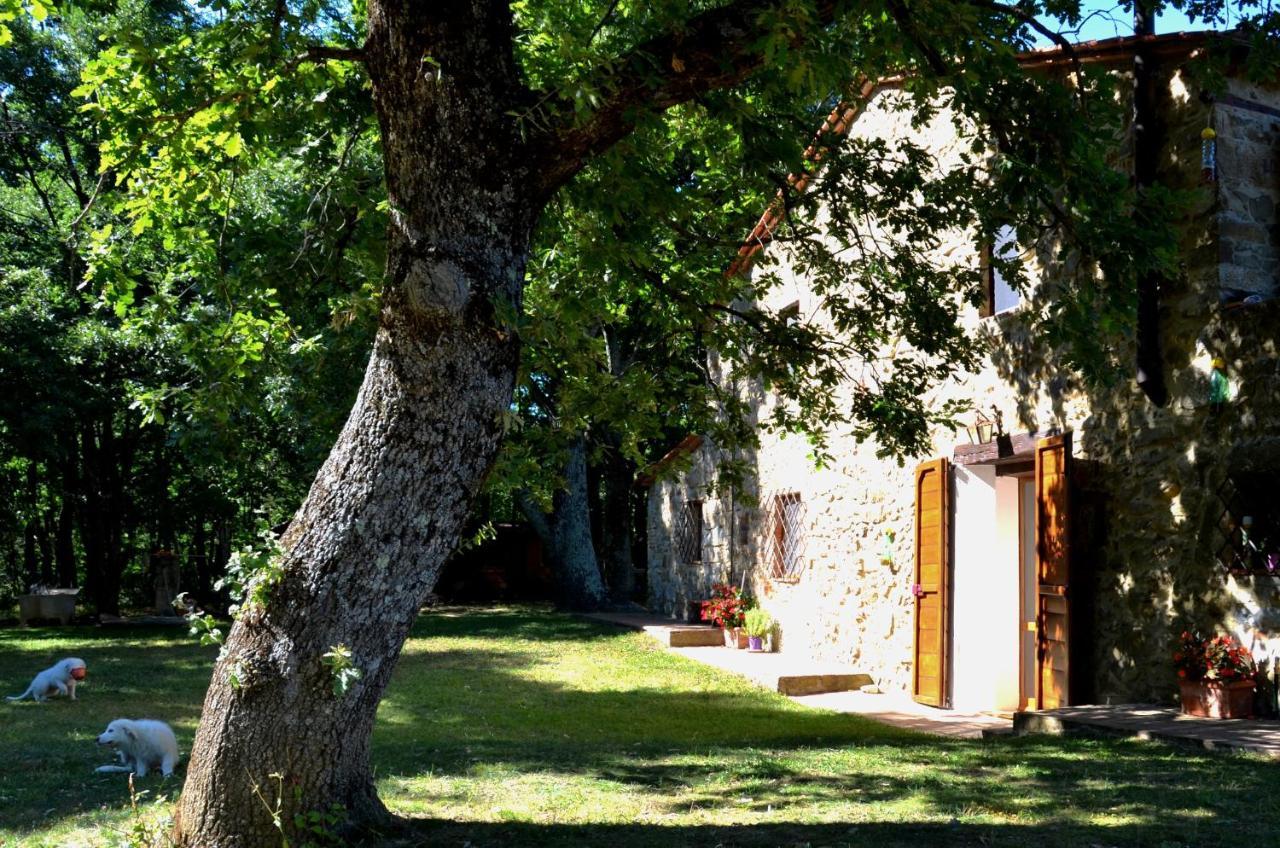 Bed and Breakfast Il Venaio Масса-Мариттима Экстерьер фото